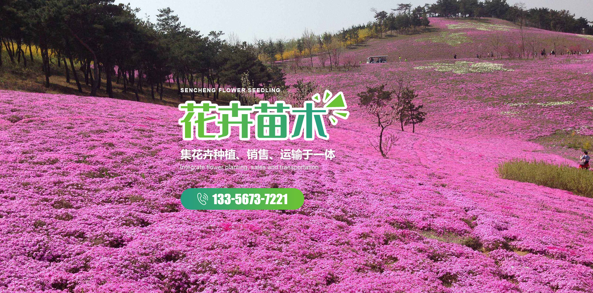 青州市瑞生园花卉苗木有限公司