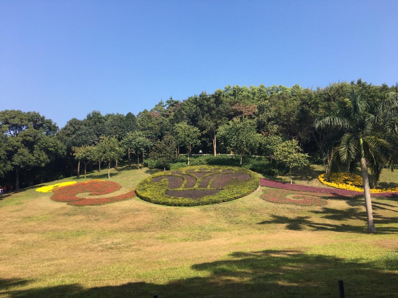公园绿化景观