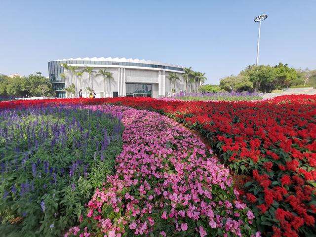 花海景观