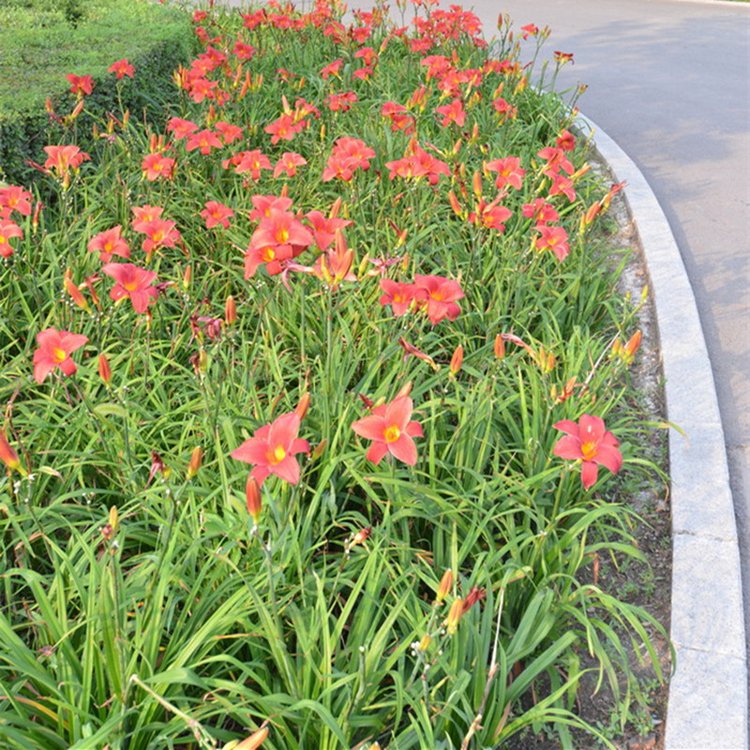 u=3898450941,1349660171&fm=199&app=68&f=JPEG.jpg