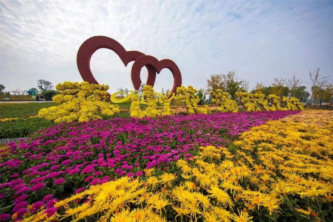 花海景观