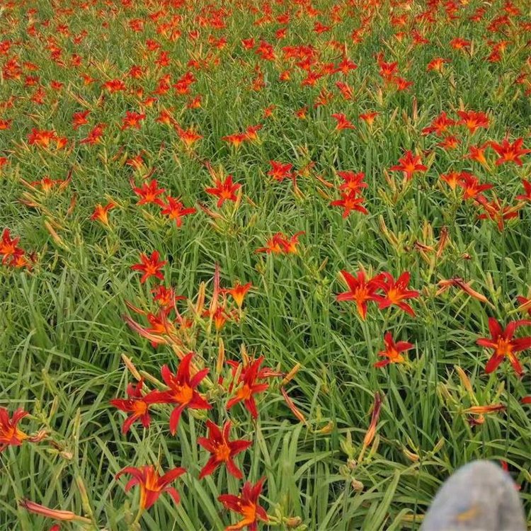 u=792926917,3777689234&fm=199&app=68&f=JPEG.jpg