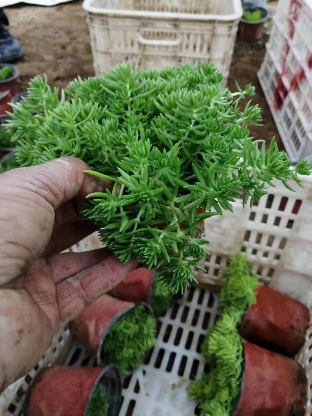 发货现场