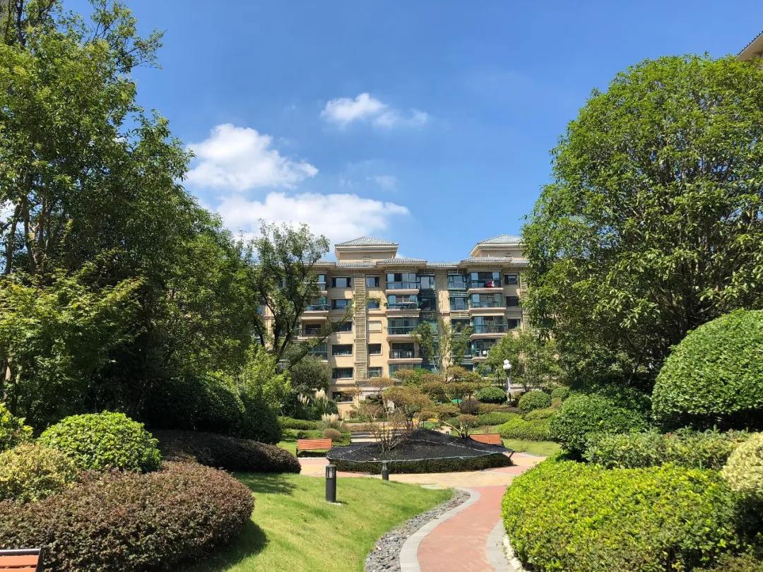 小区绿化
