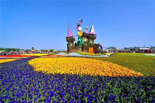 花海景观