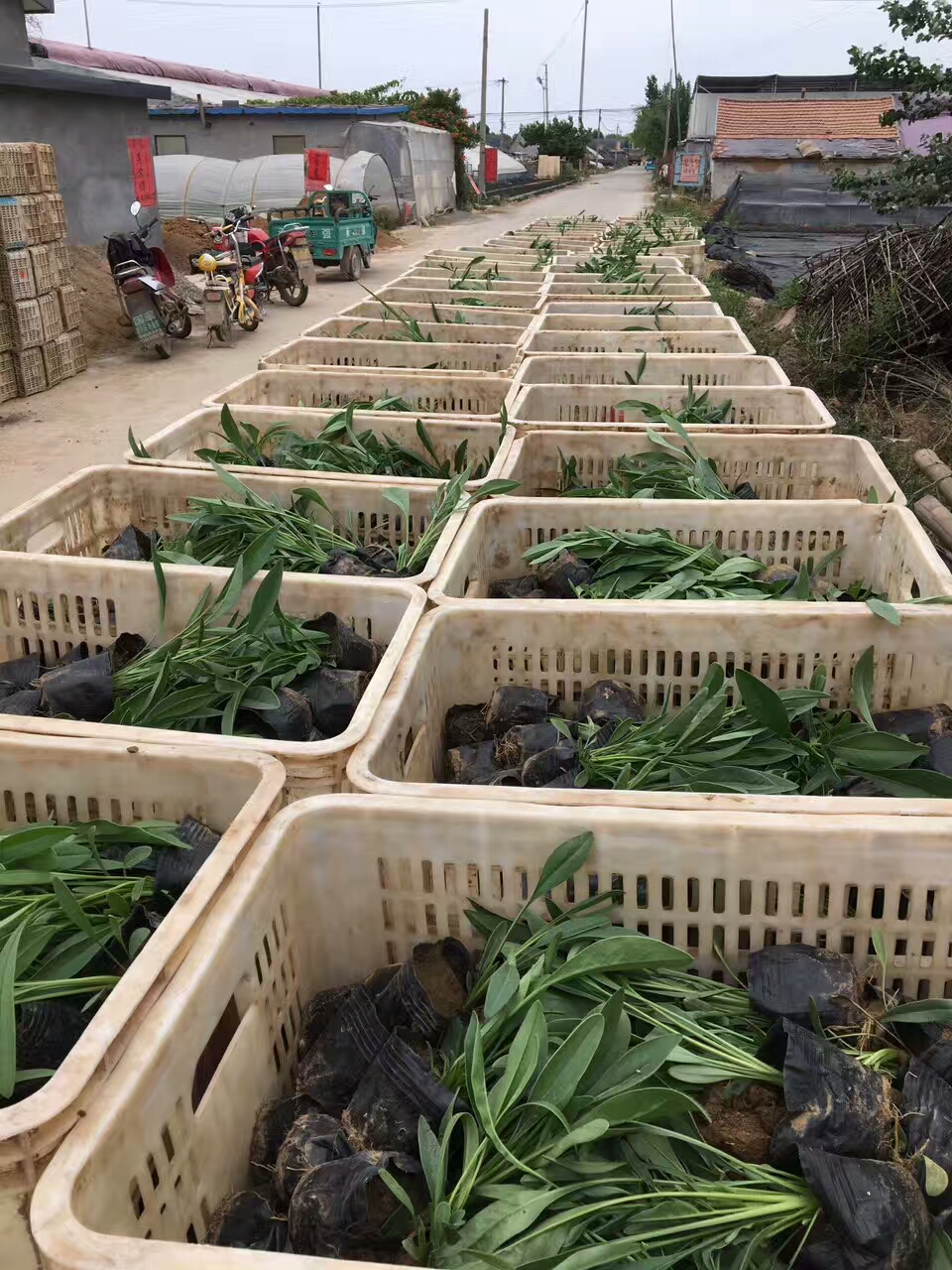 发货现场